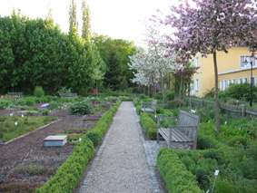 Perennial garden